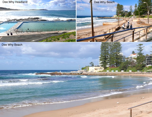 1 Dee Why