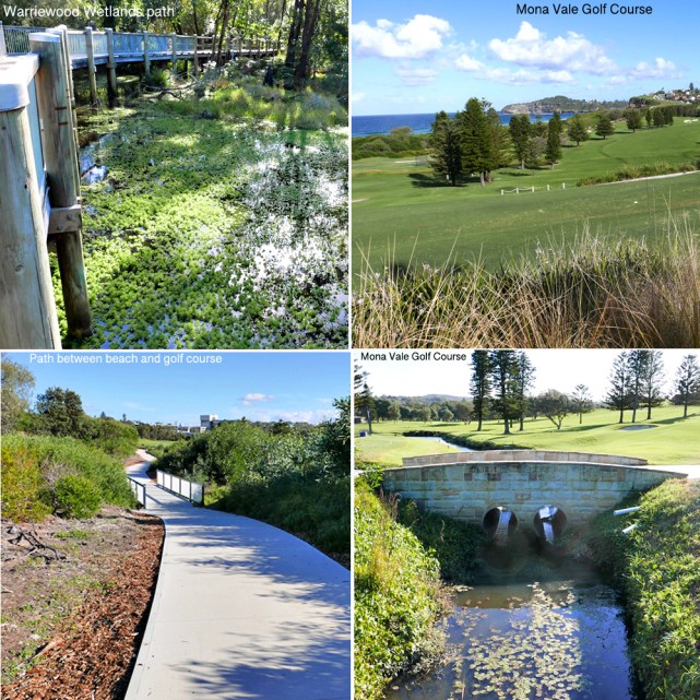 5 Wetlands &amp; MVGC