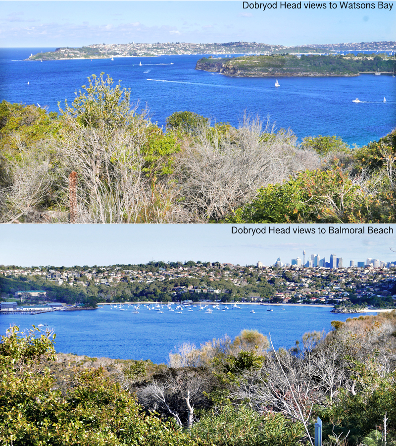 2aa Dobroyd Head copy