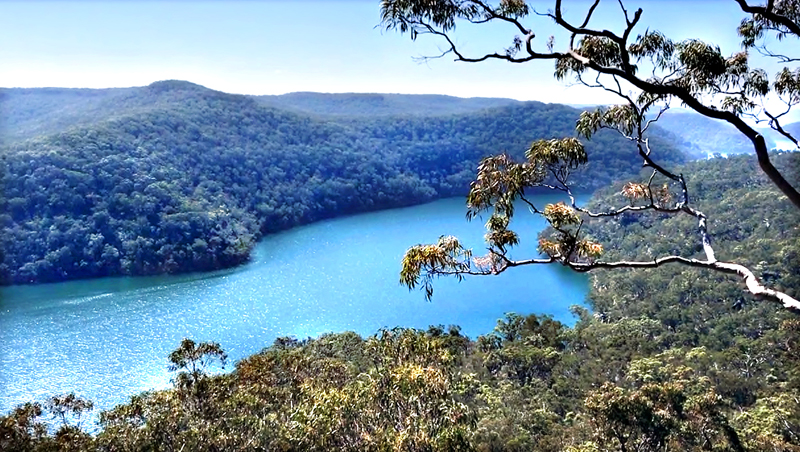 Long Trail endpoint lookout copy