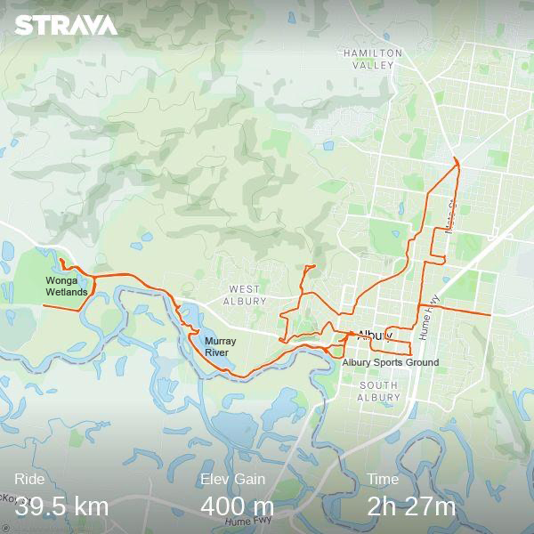 Albury Wetlands path